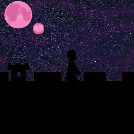 vee silhouette on castle wall